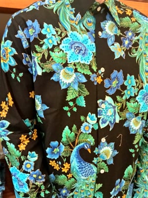 Image of Blue/black peacock