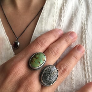 Image of Turquoise, Fossilized Coral & Sterling Silver Ring