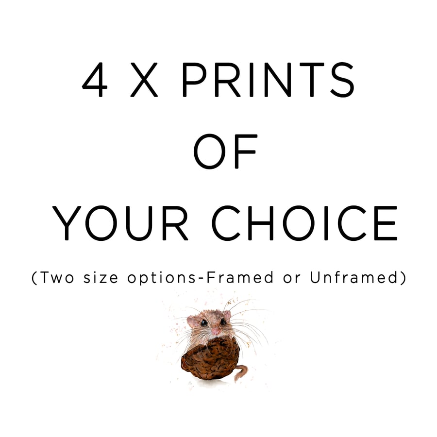 Image of A Choice of 4 x Mini Prints 