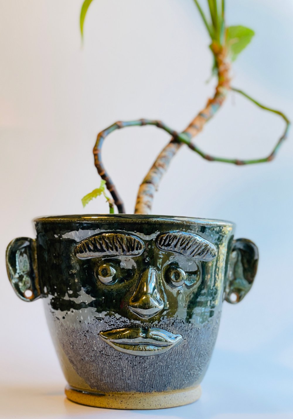 Image of Oliver- Pothead