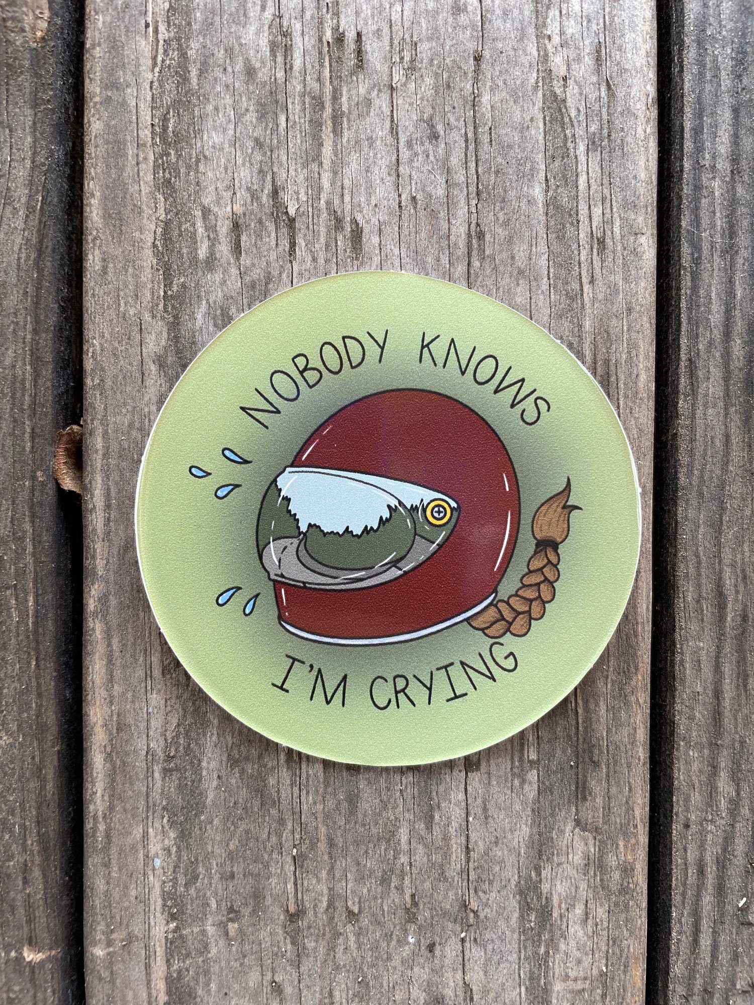 Nobody Knows Sticker