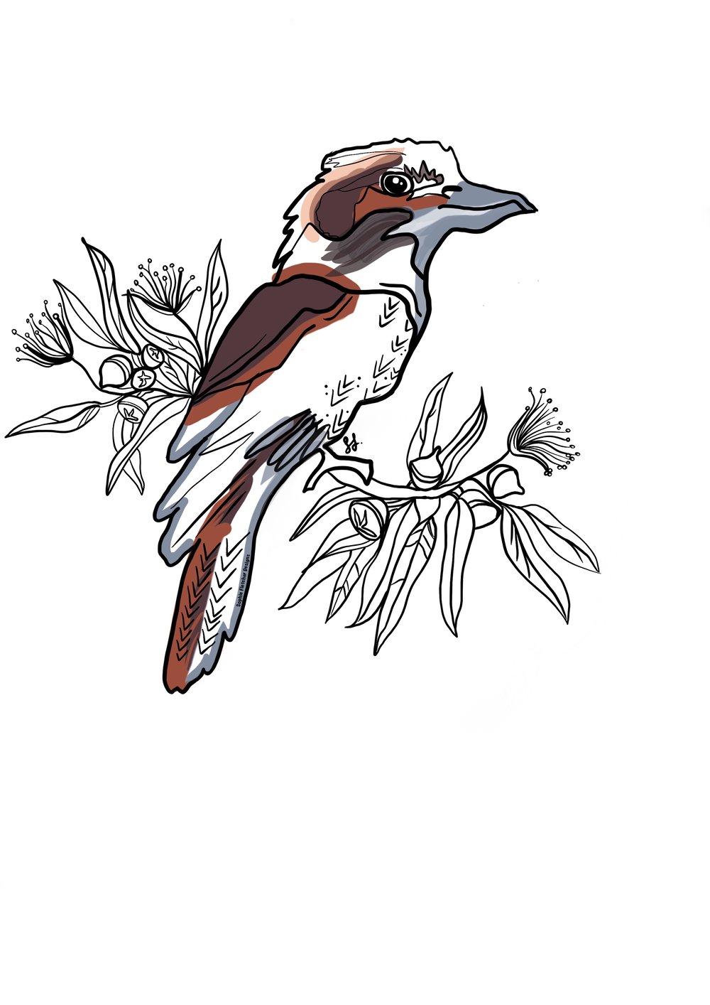 Image of Kookaburra Decal - By Sophie Fletcher Designs