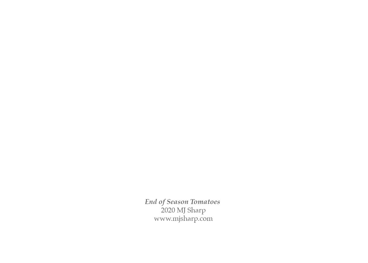 End of Season Tomatoes — 5x7 blank cards with envelopes (set of 5, 10, or 20)