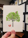 A Tree for All Seasons greeting card