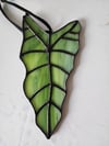 Curvy Houseplant