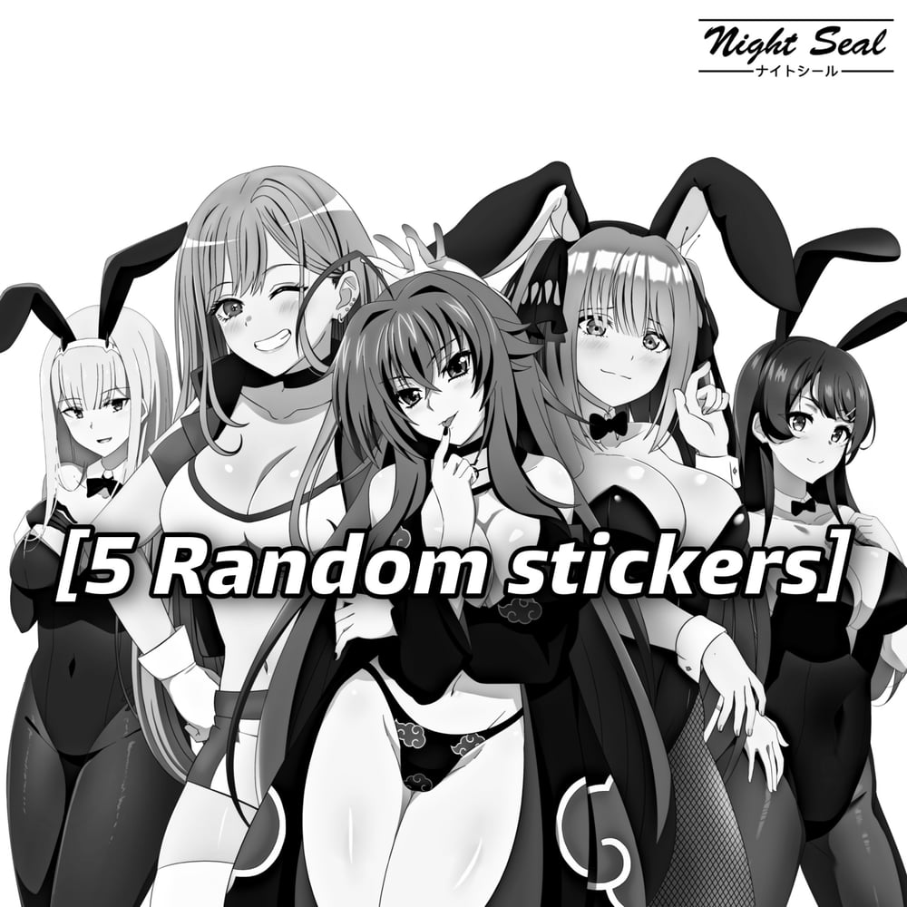 Image of 5 Random Stickers 
