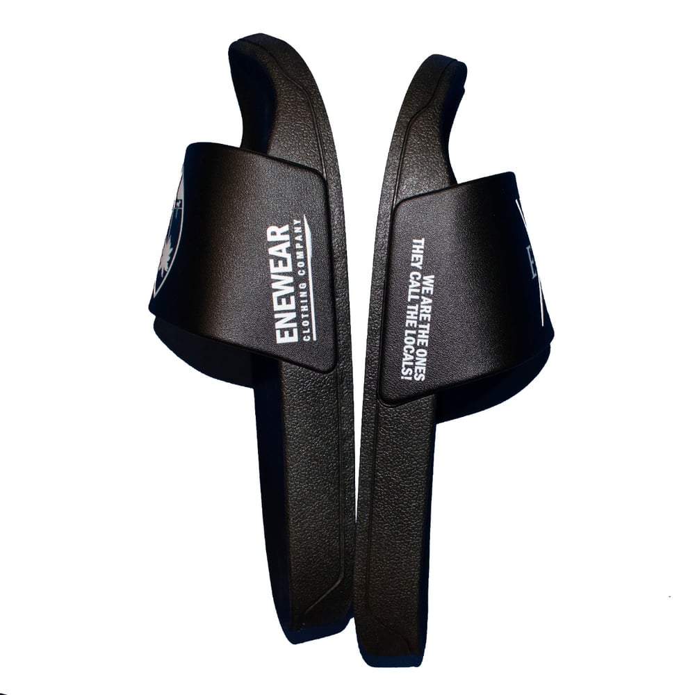 Image of SEAL SLIDES