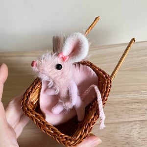 Image of Pinky Mouse Number 3