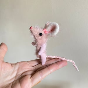 Image of Pinky Mouse Number 3