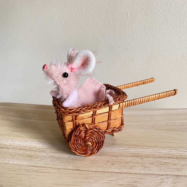 Image of Pinky Mouse Number 3