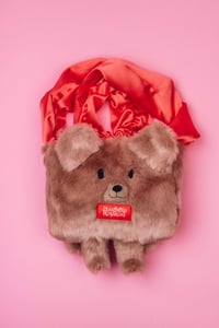 Image 1 of TEDDY BEAR BAG