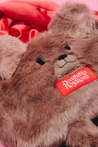 Image 2 of TEDDY BEAR BAG