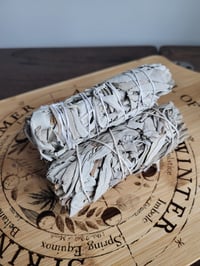 White Sage smudge Stick