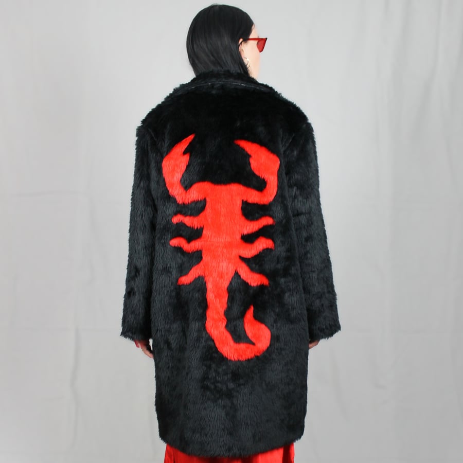 Image of SCORPIO RISING coat