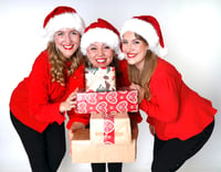 Image 1 of Christmas Package 2023