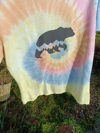 Image 1 of Mountain bear icecream rainbow spiral Large