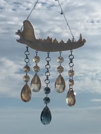 Image 5 of Coyote Jaw Custom Suncatcher