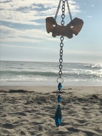 Image 5 of Coyote Atlas Vertebrae Custom Suncatcher