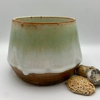 Image 1 of Toasty plant pot