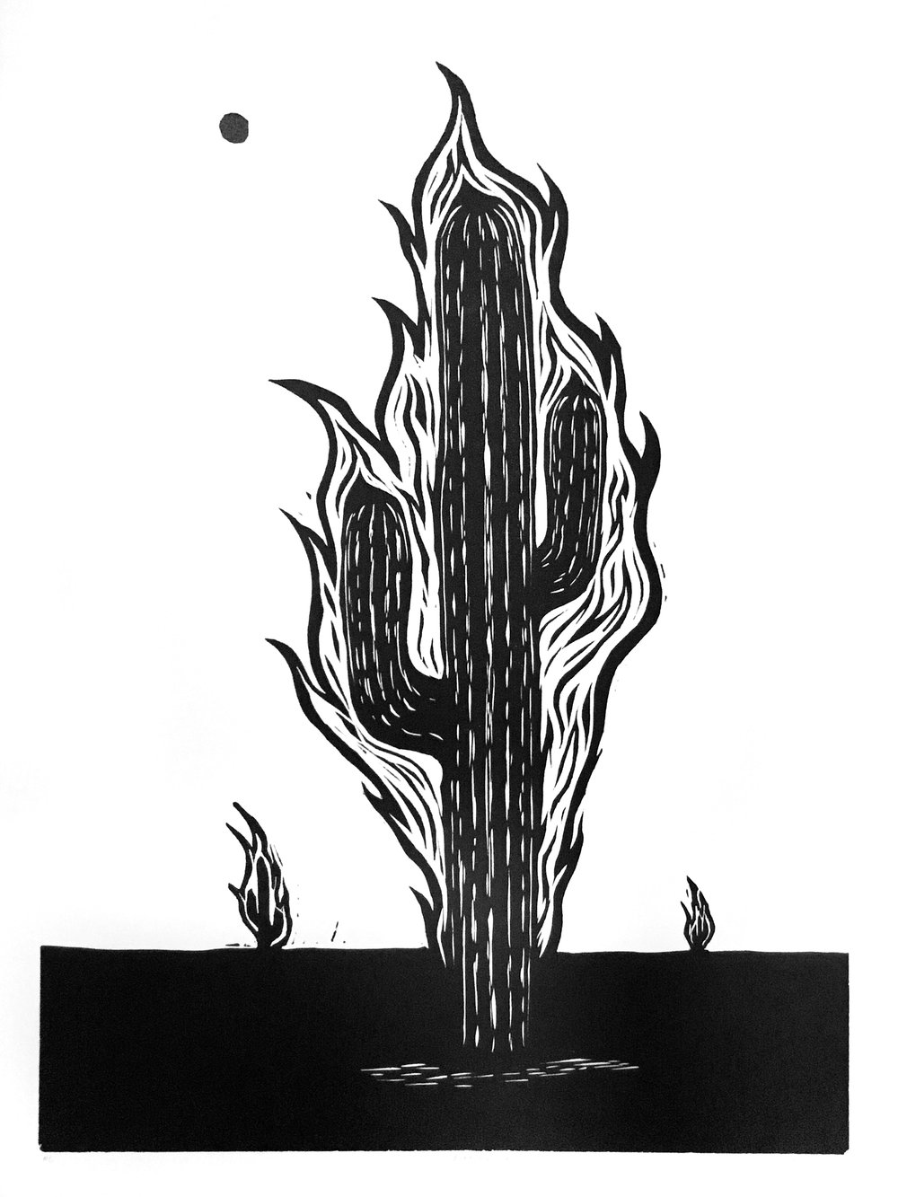 Image of Burning Cactus by Hartwick Hansen