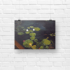Long Lake Lilies Fine Art Print