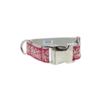 Scroll - Dog Collar/leash