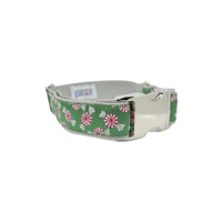 Peppermint Holiday Dog Collar/leash