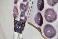 Image 4 of Aztec Deep Purple