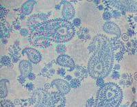 Image 3 of Paisley Blue