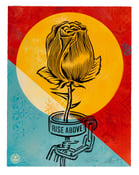 Image of Rose Shackle VSE #10