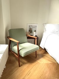 Image 5 of Fauteuils Z vert pistache pastel