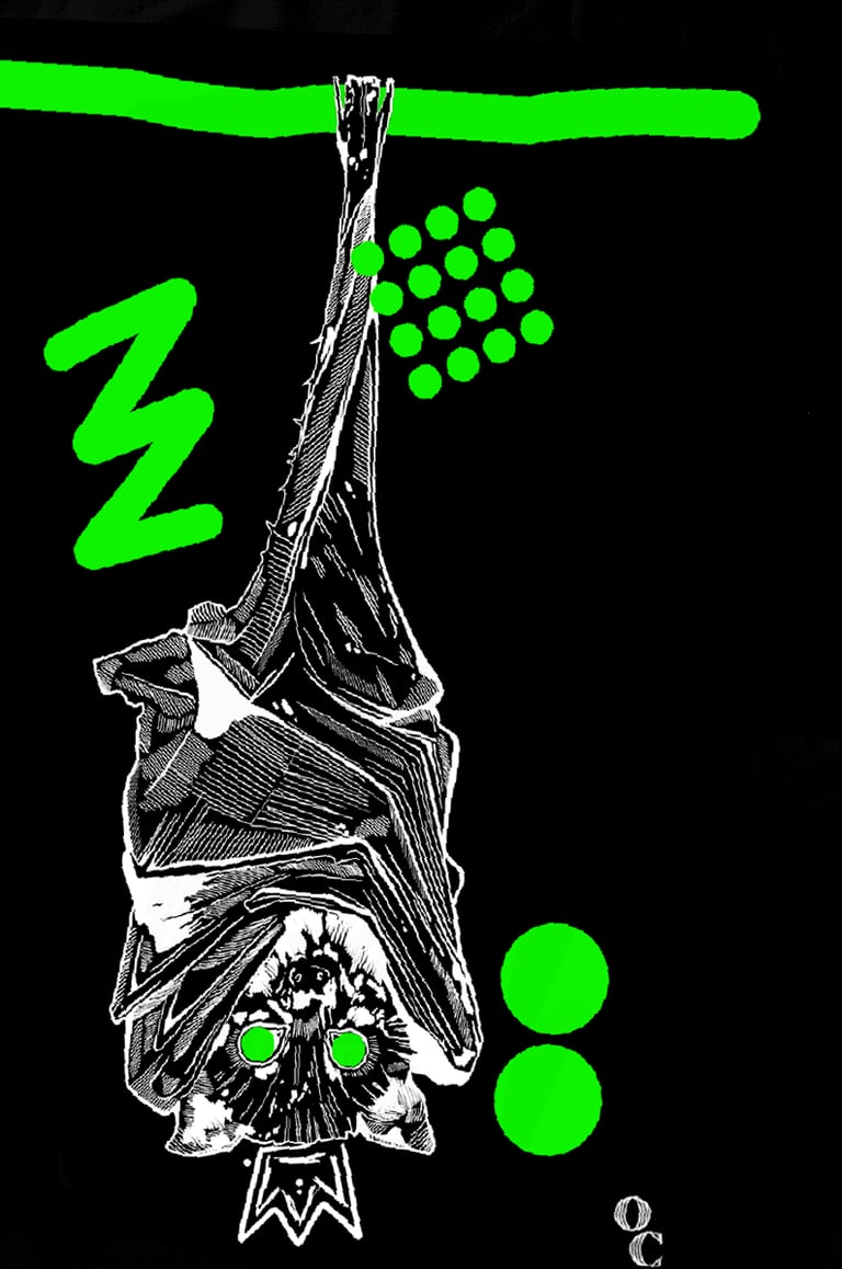TOTEBAG "CHAUVE-SOURIS" FLUO - NOIR Image 3