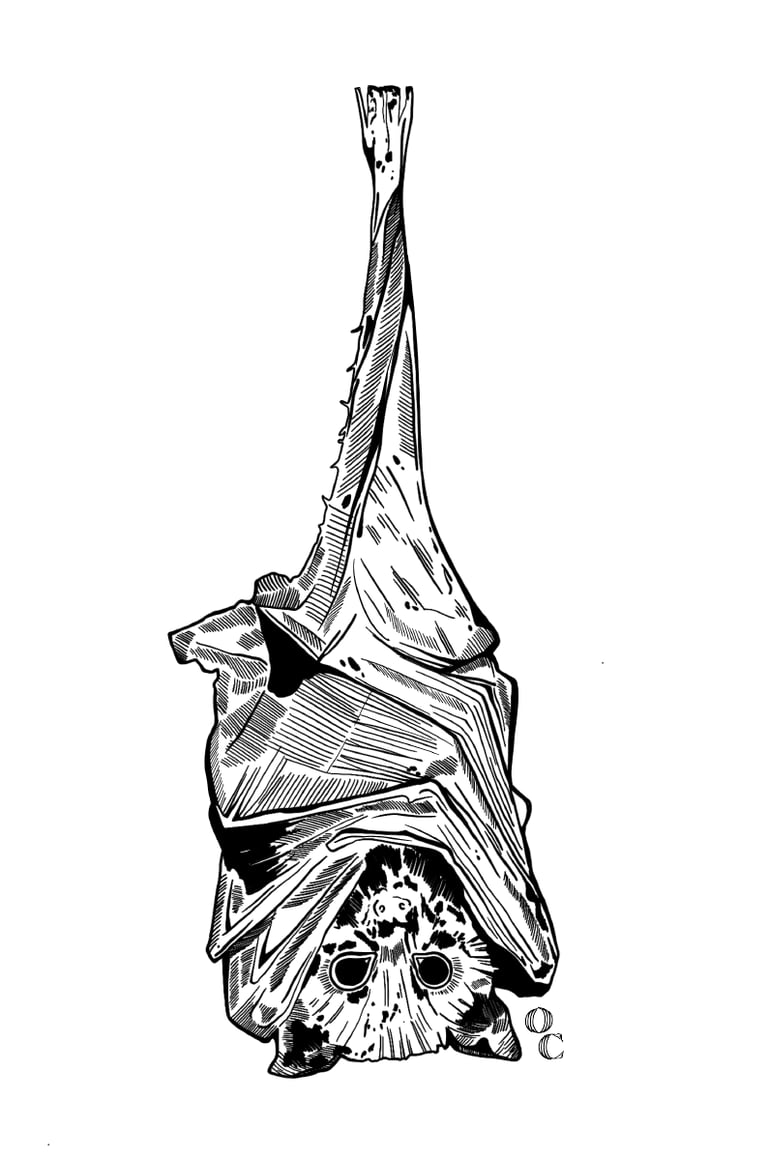 TOTEBAG "CHAUVE-SOURIS" FLUO - NOIR Image 4