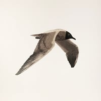 Image 1 of ITH-002A Mini-Print / Paper Model