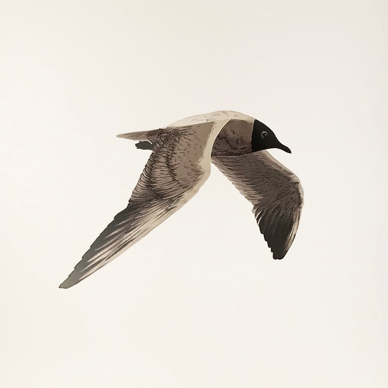 Image of ITH-002A Mini-Print / Paper Model