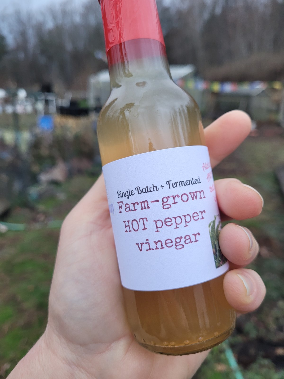 Image of NEW✨️ Single Batch Fermented HOT pepper Vinegar 