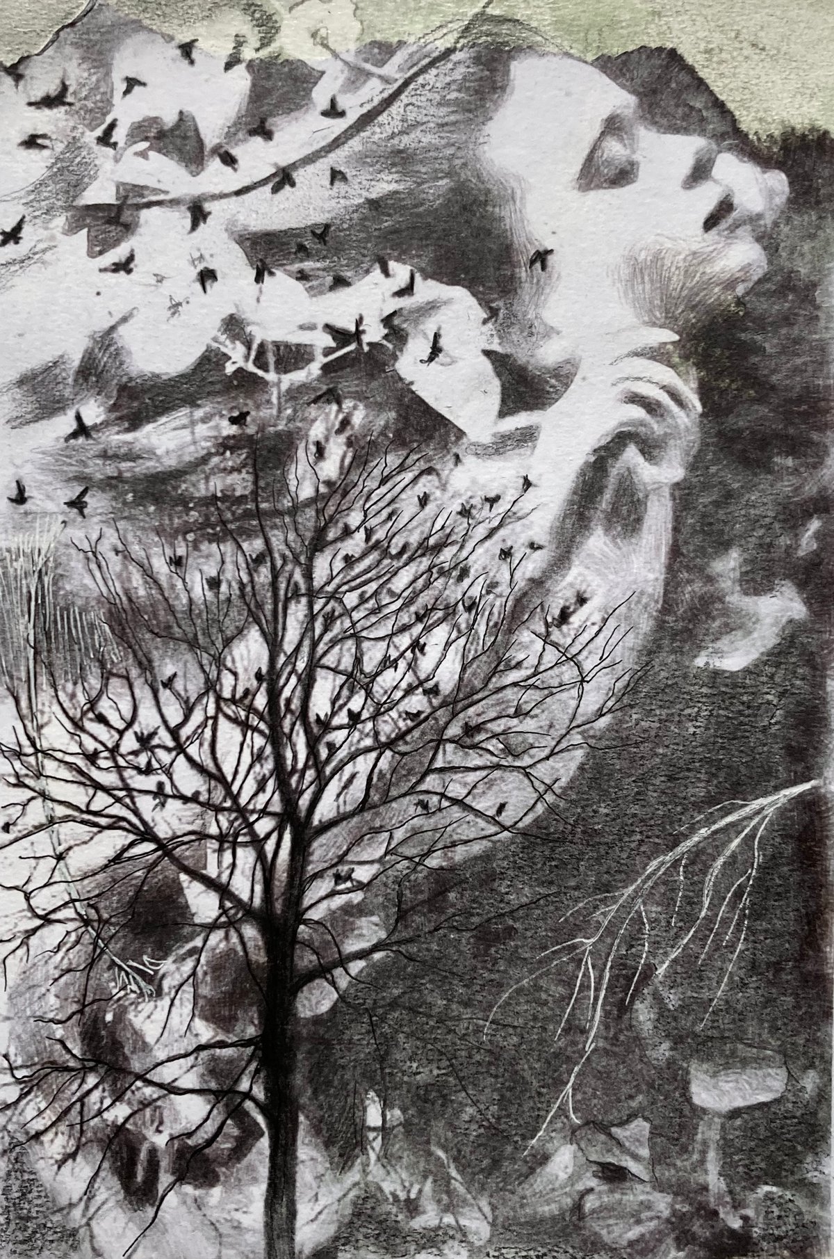 Image of L'arbre aux oiseaux