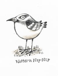 Western Nap Nap: original pencil drawing