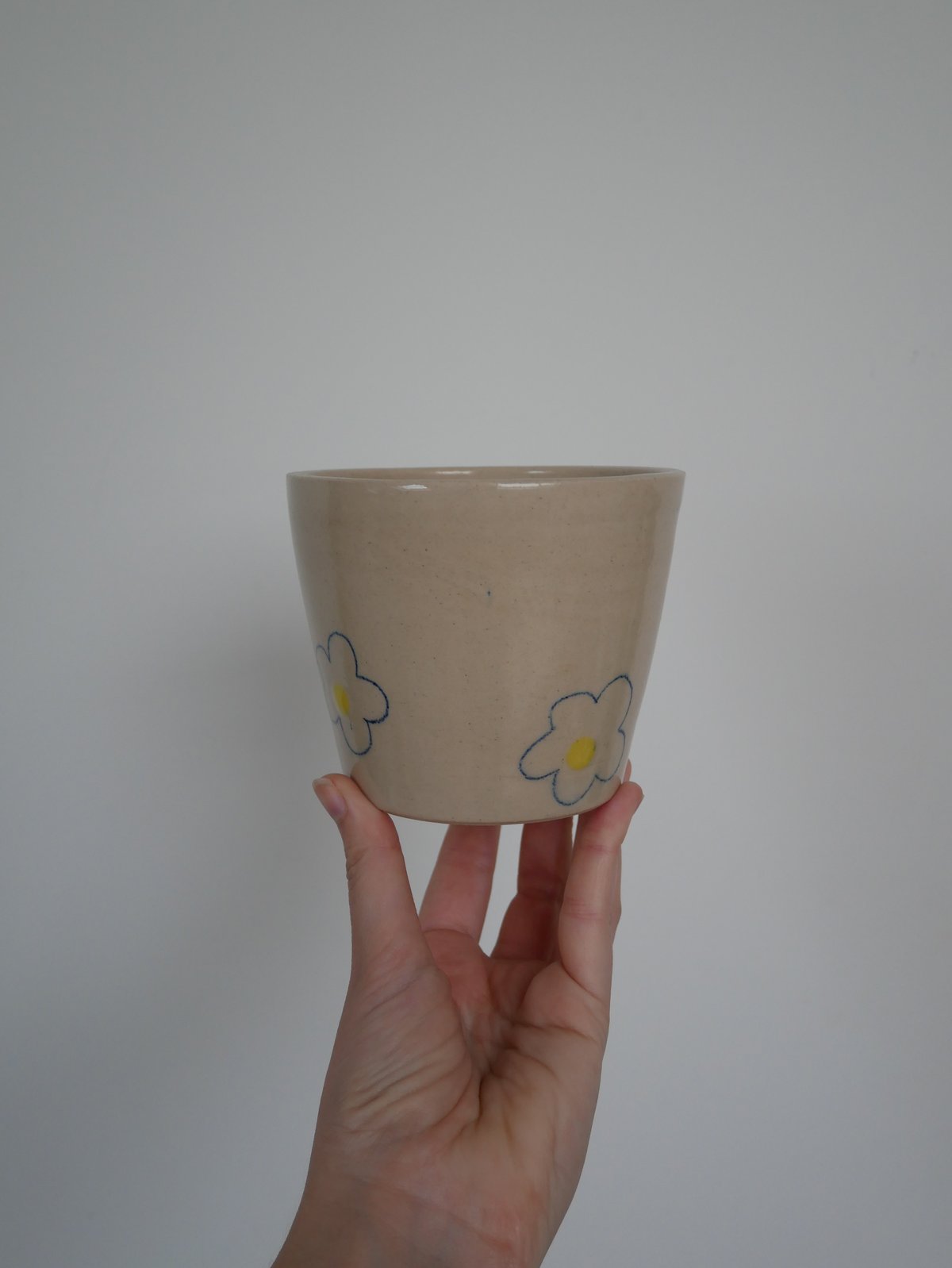 Image of Daisy Pencil Plant Pot 2