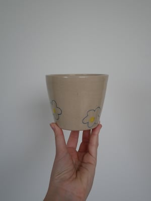 Image of Daisy Pencil Plant Pot 2