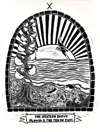 The Western Snowy Plover & the Ten of Cups