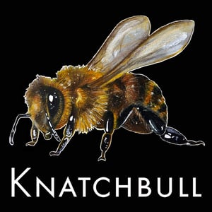 Image of Knatchbull 'Knatchbee' Hoodie