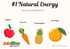 #1 Natural Energy 16oz Image 2