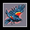 Red-Winged Blackbird - Signed 12” Prints