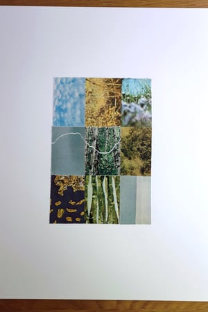 Color Study Collage 9