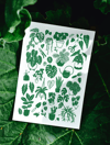 Plant Lover Greeting Card