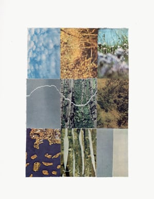 Color Study Collage 9