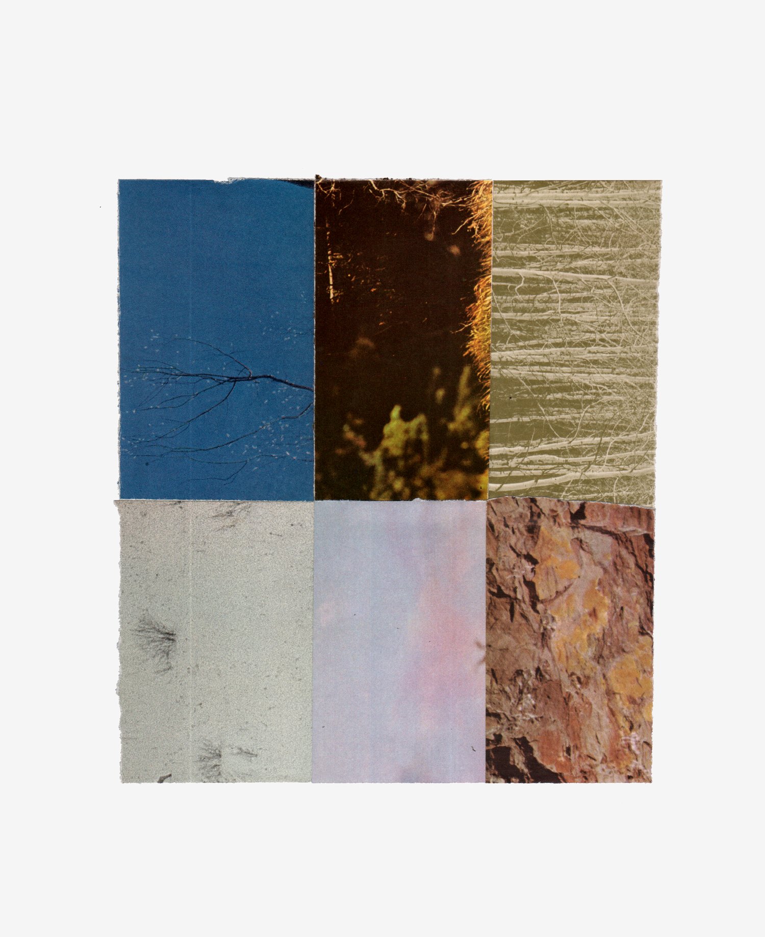 Color Study Collage 11