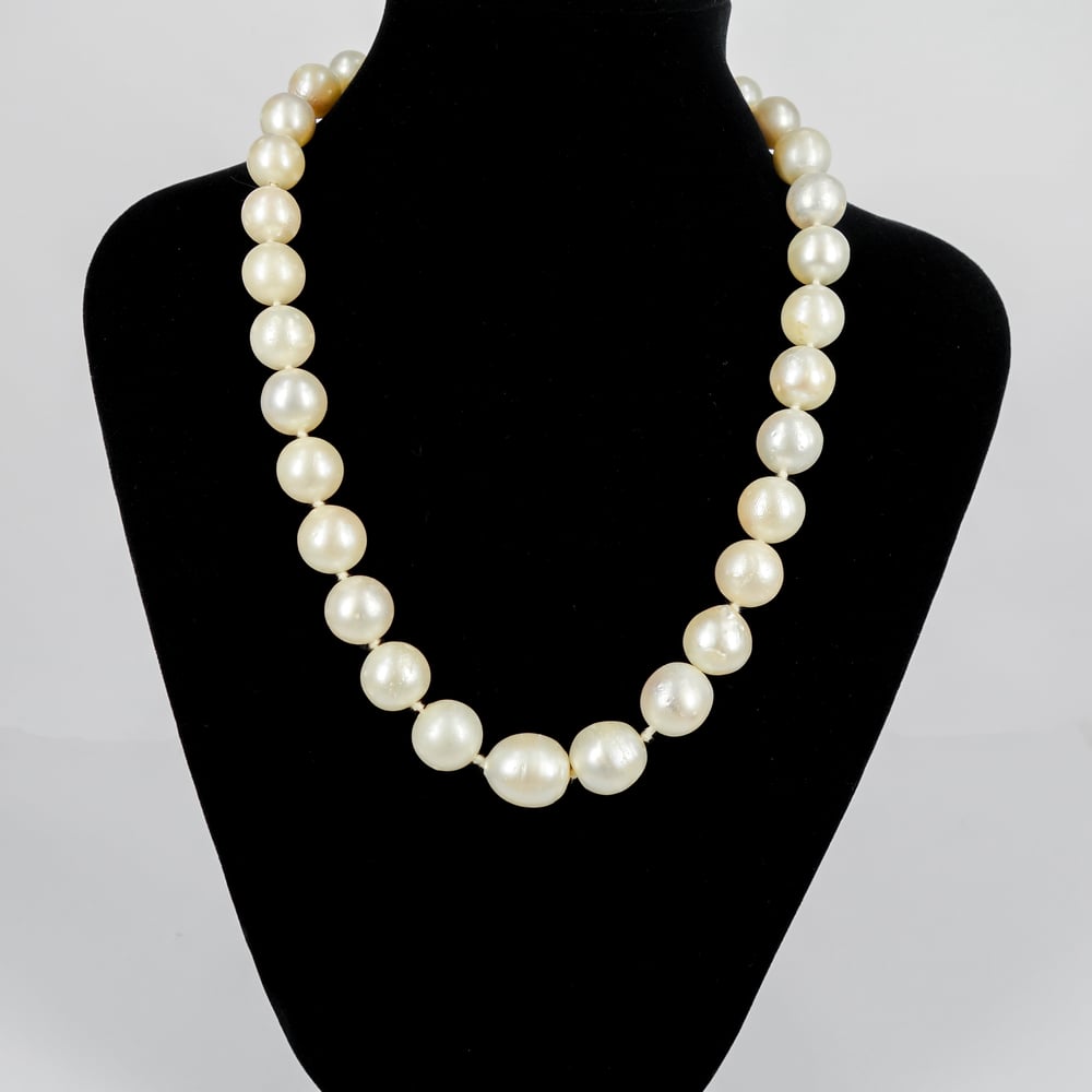 Image of Large high quality freshwater pearl strand. SH1320