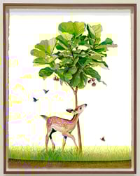 The Fig Tree Print